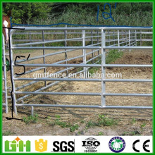 Galvanized Galvanized Pipe Horse Fence Panel / fio de vedação de cavalos